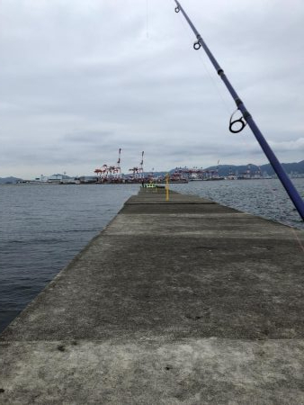 台風接近の中…シイラ?!