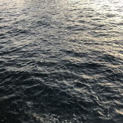 今日も仕事帰りに