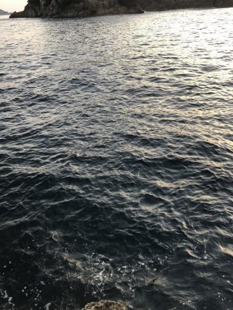 今日も仕事帰りに