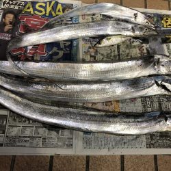 タチウオ求めて遠征