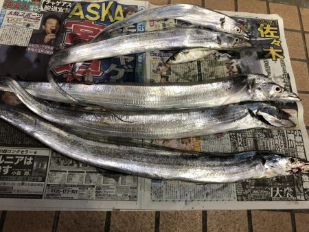 タチウオ求めて遠征