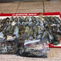 ランガンエギング