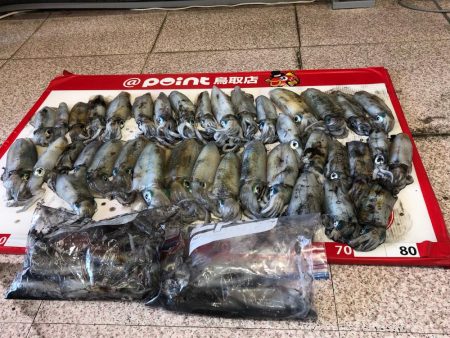 ランガンエギング