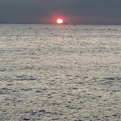 久々ホームのエギング