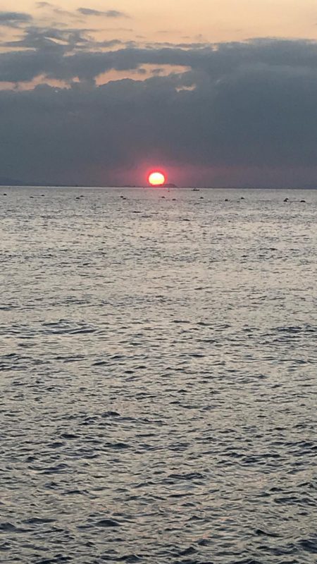 久々ホームのエギング