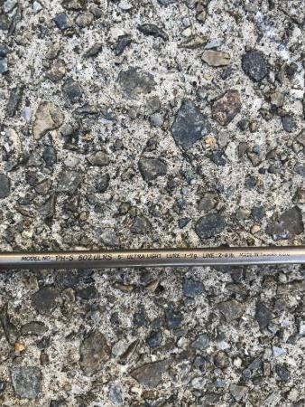 9月12日メッキゲーム