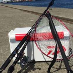 初ポーアイ沖堤‼️