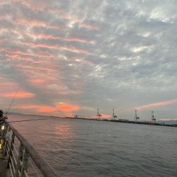 コスモスクエアにて!