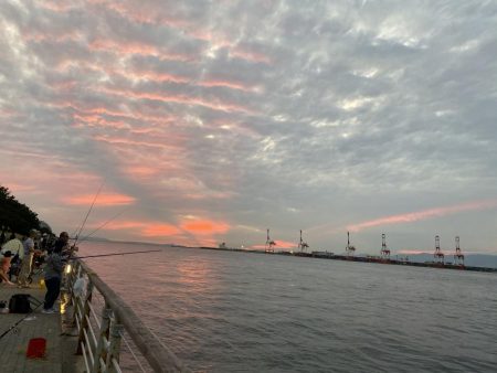 コスモスクエアにて!