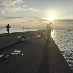 青物に代わり太刀魚が