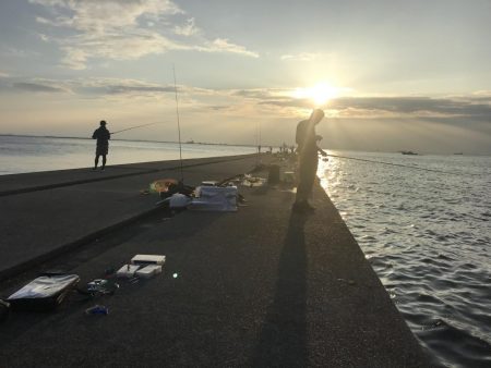 青物に代わり太刀魚が