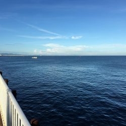 ライトショアジギング