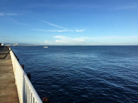 ライトショアジギング