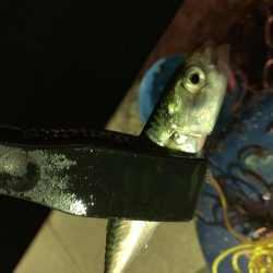 アーバンサイドアジング