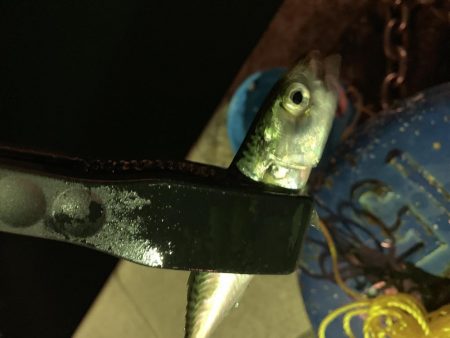 アーバンサイドアジング