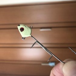 タチウオきてるよ