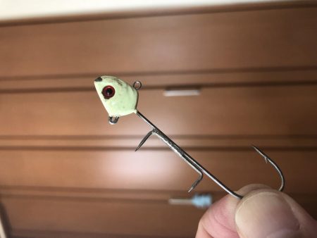 タチウオきてるよ