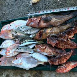 若狭湾で船釣り