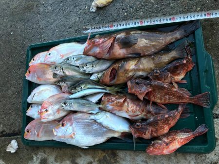 若狭湾で船釣り