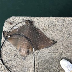 ショアジギング