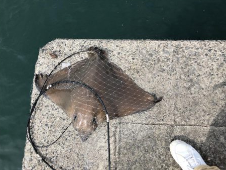 ショアジギング