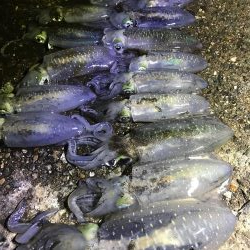 ２時間で１７杯