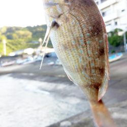 台風の影響で海は荒れていましたが