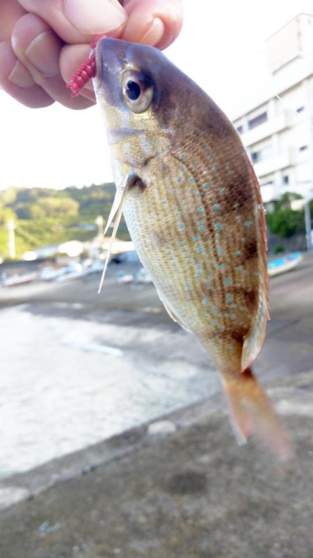 台風の影響で海は荒れていましたが