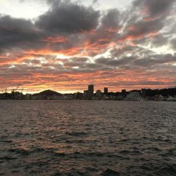 台風後に北公園へ