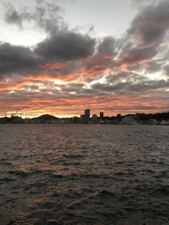 台風後に北公園へ