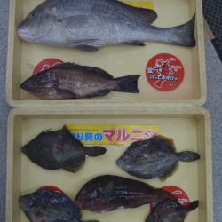 最後に大物が！