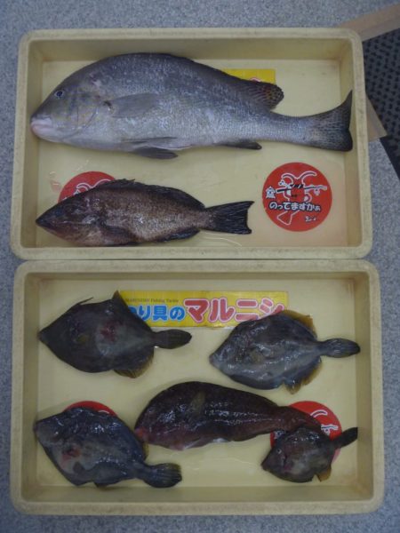 最後に大物が！