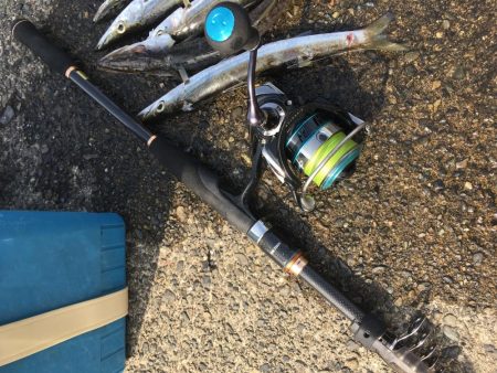 カマス祭り 開催中