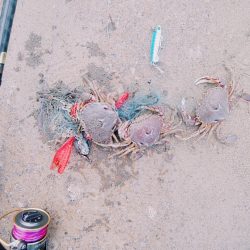 サーフでヒラメリベンジ成功!!