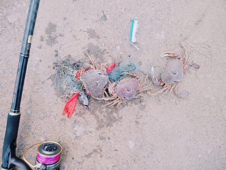 サーフでヒラメリベンジ成功!!