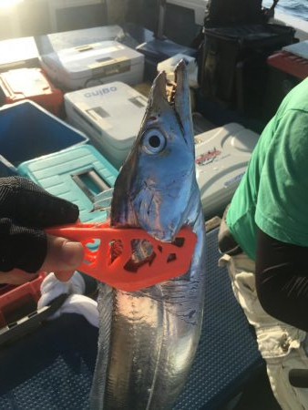 タチウオテンヤ