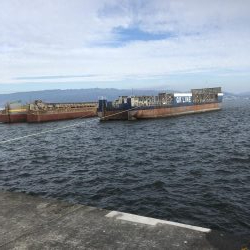 人!人!人!人‼︎‼︎