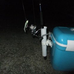 今年はグッドサイズ