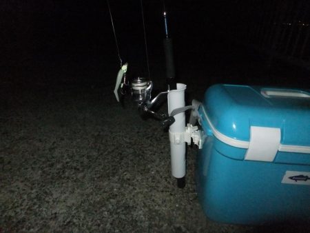 今年はグッドサイズ