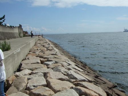 南芦屋は西側石畳のサヨリ