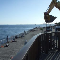 南芦屋浜 小さくてもハマチ(?)