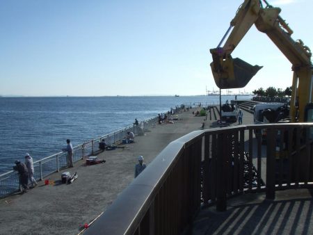 南芦屋浜 小さくてもハマチ(?)