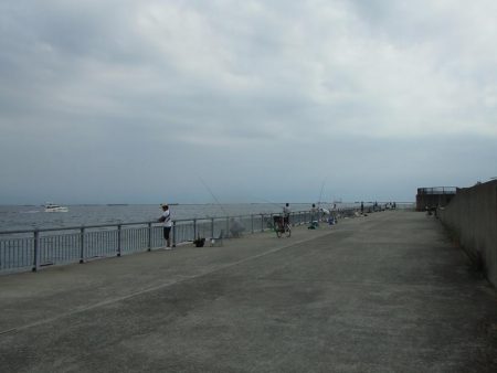 南芦屋浜東　サヨリ釣れず、ハマチ４４㎝