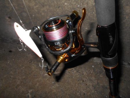 ベイトはシラサエビなのか?