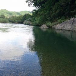 宮川下流域にて
