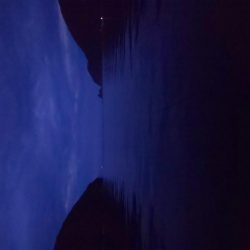 まづめエギング諦めたら尺アコウ