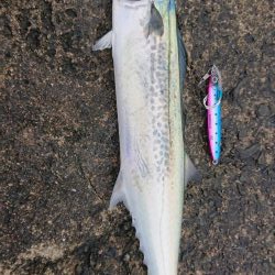 出掛けたついでに