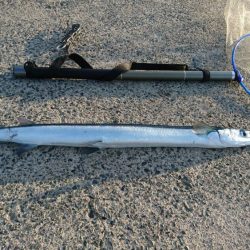 初のメーター！