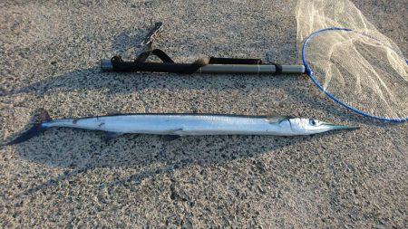 初のメーター！