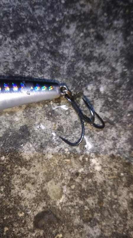 マイワシパターン??